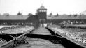 se conmemora el dia internacional en memoria de las victimas del holocausto