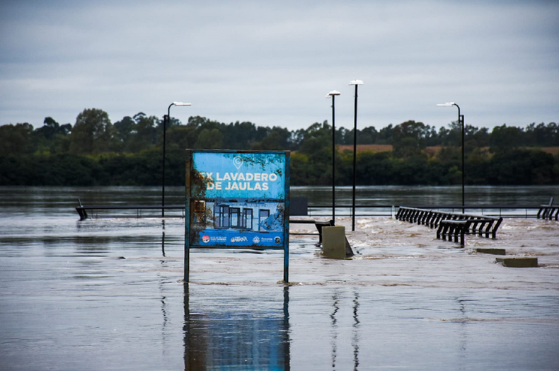 Crece el Río Uruguay y ya son 36 los evacuados en Concordia
