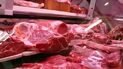 allanamientos en carnicerias de mar del plata por presunta venta de carne de caballo