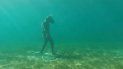 minotauro en el lago: increible hallazgo en neuquen