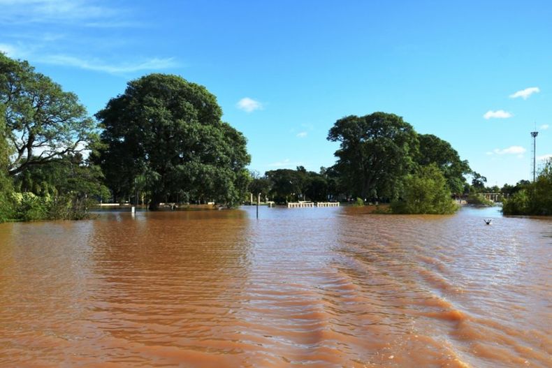 Alerta en Concordia ante repunte del Río Uruguay