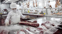 las restricciones cambiaras redujeron las importaciones de carne de cerdo