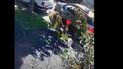 video: asi actuan los robaruedas en la zona de güemes