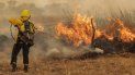 detectan nuevos incendios forestales en el delta entrerriano