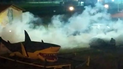 video: incendiaron cinco automoviles en el predio de aldosivi