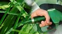 gasoil y energia: el gobierno elevo el corte obligatorio de biocombustibles