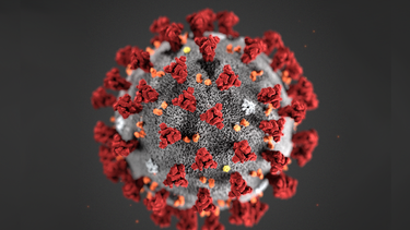 Ómicron BA.2.86: una variante de coronavirus altamente mutada tiene a los científicos en alerta